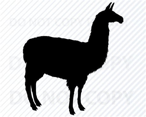 Download Free SVG Llama Clipart. Instant Download Printable. Set of 15 digital
llama Silhouette